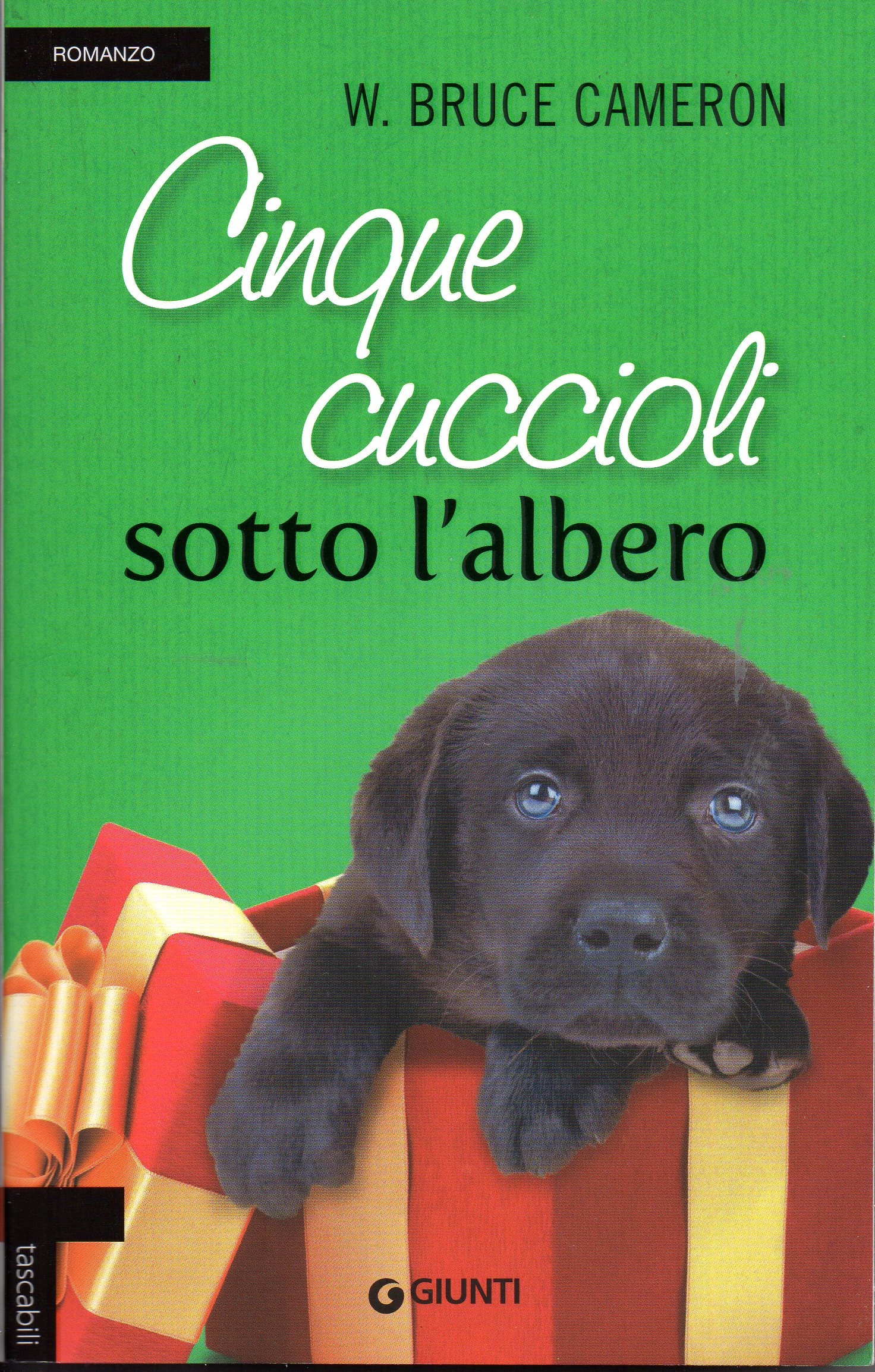 cinque cuccioli